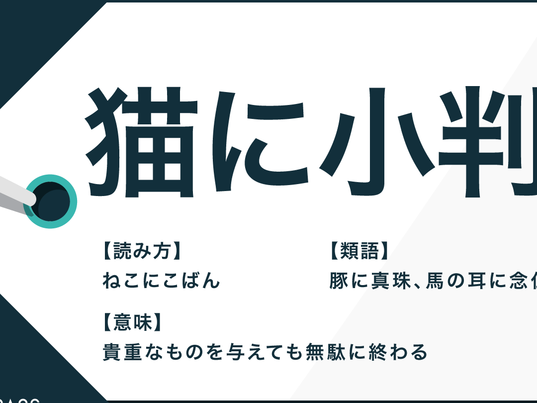 猫に小判 ことわざの意味と使い方について解説
